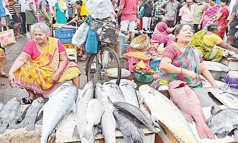 சென்னை காசிமேடு மார்க்கெட்டில் மீன் விற்பனையில் கொடிகட்டி பறக்கும் பெண்கள்