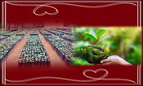 கிராமம்தோறும் மரக்கன்றுகள்-இயற்கை ஆர்வலர்கள் எதிர்பார்ப்பு