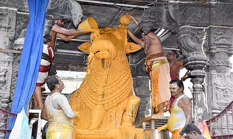 திருவண்ணாமலைக்கு கிரிவலம் வரும் பக்தர்கள் துணி பை பயன்படுத்த வேண்டும்