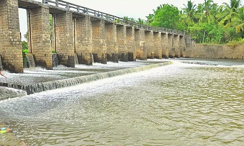 மழையின் காரணமாக சுசீந்திரம் சோழன் திட்டை அணைக்கட்டில் இருந்து வெளியேறும் தண்ணீரை காணலாம்.