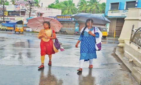 குமரியில் மழை நீடிப்பு திற்பரப்பு அருவியில் ஆனந்த குளியலிட்ட சுற்றுலா பயணிகள்