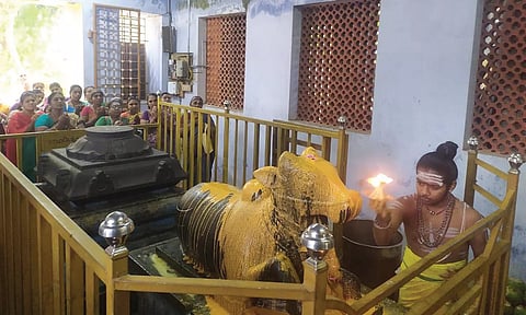 கன்னியாகுமரி பகுதியில் 12 சிவாலயங்களில் பிரதோஷ வழிபாடு