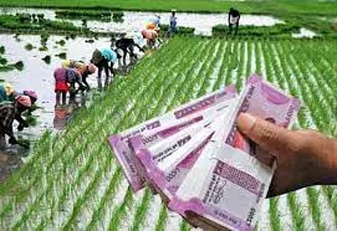 கடன் மேளாவில் கலந்து கொள்ள விவசாயிகள், பொதுமக்களுக்கு அழைப்பு