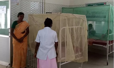 திண்டுக்கல் அரசு ஆஸ்பத்திரியில் காய்ச்சலுக்காக தனி வார்டு அமைக்கப்பட்டுள்ளது.
