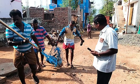 தெருநாய்களை பிடித்து சென்ற மாநகராட்சி ஊழியர்கள்.