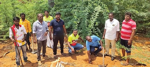 நாம் தமிழர் கட்சி சார்பில் பனை விதைகள் நடும் நிகழ்ச்சி