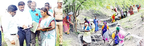 இலுப்பைக்குளம் கிராமத்தில் 100 நாள் வேலை திட்டப்பணிகளை கலெக்டர் ஜெயசீலன் ஆய்வு செய்தார். 