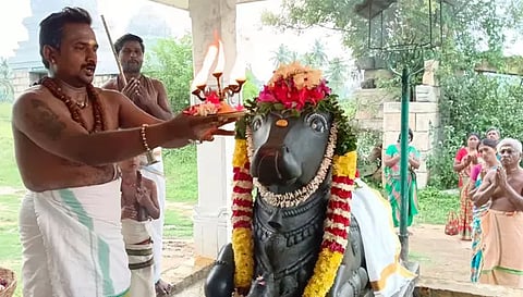 நந்தி பகவானுக்கு சிறப்பு ஆராதனை செய்யப்பட்டது. இதில் திராளான பக்தர்கள் பங்கேற்ற காட்சி.