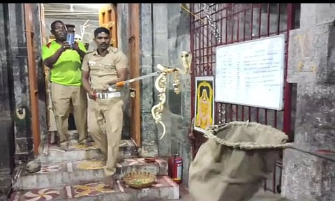 கோவிலுக்குள் புகுந்த பாம்பை தீயணைப்பு படையினர் பிடித்த காட்சி.