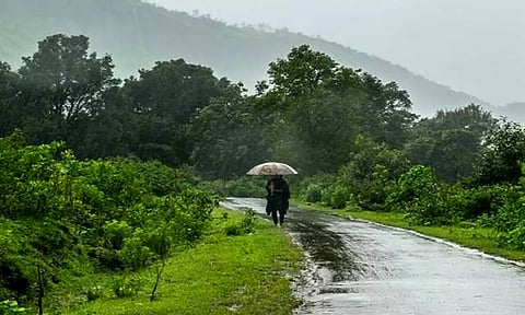 மேற்கு தொடர்ச்சி மலையில் சாரல் மழை-அடவிநயினார் அணை நீர்மட்டம் 117 அடியை எட்டியது