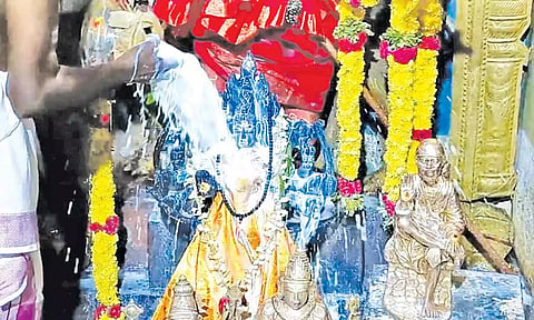 தேவதுர்க்கை அம்மனுக்கு பாலாபிஷேகம் நடந்தது.