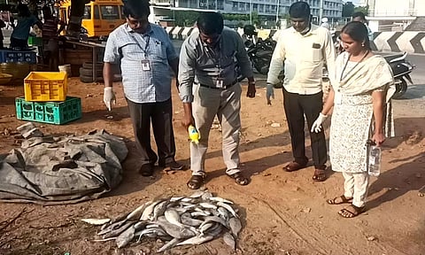 கெட்டுப்போன மீன்களை அதிகாரிகள் அழித்த போது எடுத்த படம்.