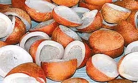 ரூ.2.25 கோடிக்கு கொப்பரை ஏலம்