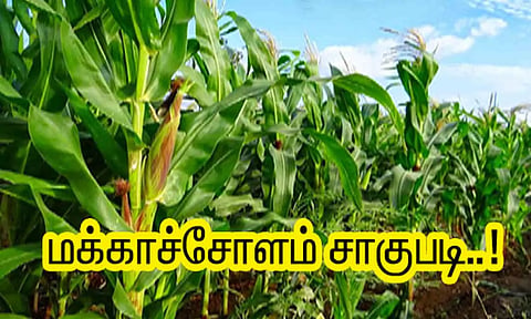 கோப்புபடம். 