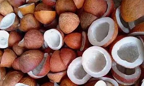 கோப்புபடம். 