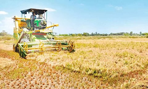 மாவட்டத்தில் இதுவரை 71, 412 எக்டர் குறுவை அறுவடை பணிகள் நிறைவு