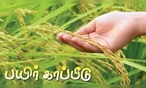 சம்பா நெல் பயிருக்கு காப்பீடு செய்ய விவசாயிகளுக்கு அழைப்பு