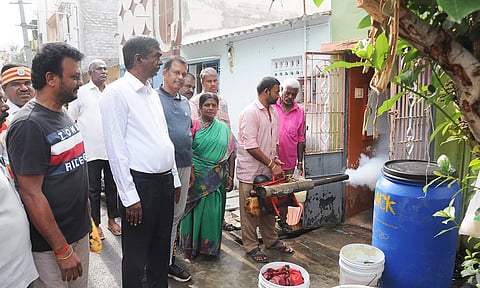வீடுகளில் கொசு மருந்து அடிக்கும் பணி தீவிரமாக நடைபெற்று வருகிறது.