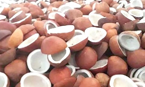 கோப்புபடம். 