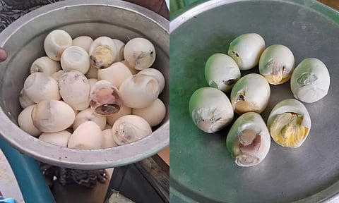 அரசு பள்ளிக்கூடங்களில் வழங்கப்பட்ட அழுகிய முட்டைகளை காணலாம்