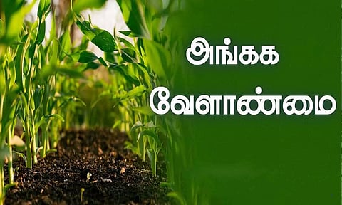 கோப்புபடம். 