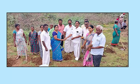 பனை விதை நடவு விழா