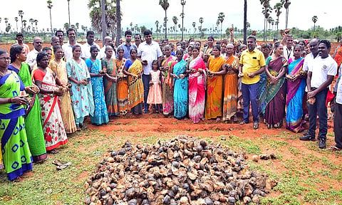பனை விதை விதைப்பு விழாவை கலெக்டர் கார்த்திகேயன் தொடங்கி வைத்த போது எடுத்த படம்.