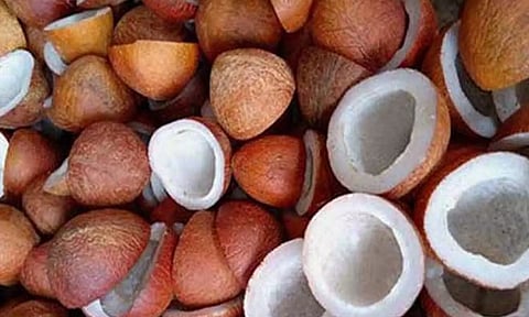 கோப்புபடம். 