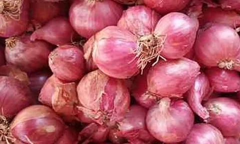 கோப்புபடம். 
