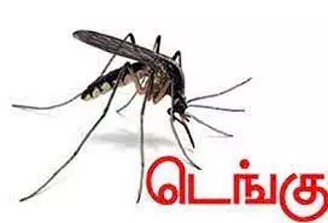 டெங்கு காய்ச்சல் பரவுவதை தடுக்க தீவிர பரிசோதனை