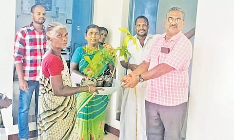 விவசாயிகளுக்கு மரக்கன்றுகள் வழங்கப்பட்டது.