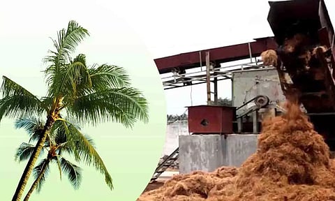 கோப்புபடம். 