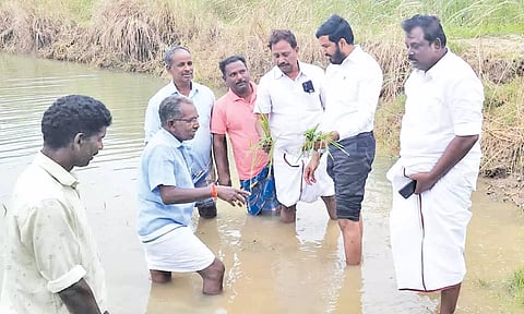கனமழையால் பாதிக்கப்பட்ட பகுதிகளில் ஷாநவாஸ் எம்.எல்.ஏ. ஆய்வு.