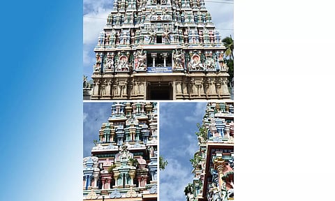 பெரிய கோவில் ராஜ கோபுரத்தில் அடர்ந்து வளரும் செடிகள்
