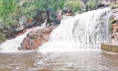 பஞ்சலிங்க அருவியில் ஆர்ப்பரித்து கொட்டும் தண்ணீரை படத்தில் காணலாம்.