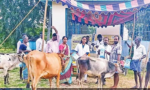 கால்நடை மருத்துவ முகாம் நடந்தது.