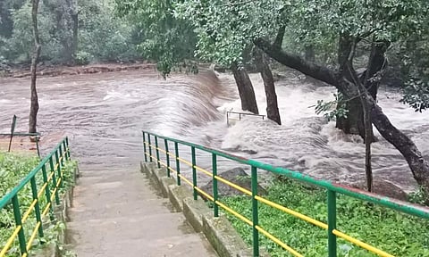 நெல்லை, தென்காசி, தூத்துக்குடியில் மழை: களக்காடு தலையணை செல்ல தடை