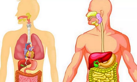 குடலில் கழிவுகளை வெளியேற்ற உதவும் இயற்கை மருத்துவம்