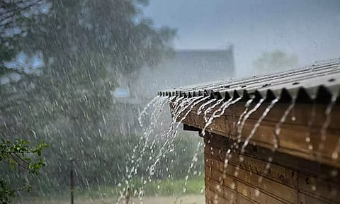 நெல்லை, தென்காசி மாவட்ட அணைப்பகுதிகளில் மழை நீடிப்பு
