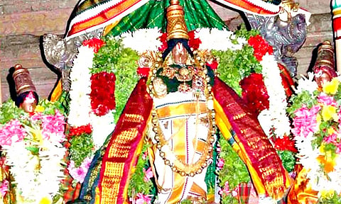 அரச மரம் கூறும் அதிசய தகவல்