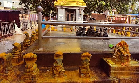 நாகராஜா கோவில் நாகர் சிலைகளுக்கு பக்தர்கள் பால் ஊற்றி வழிபாடு