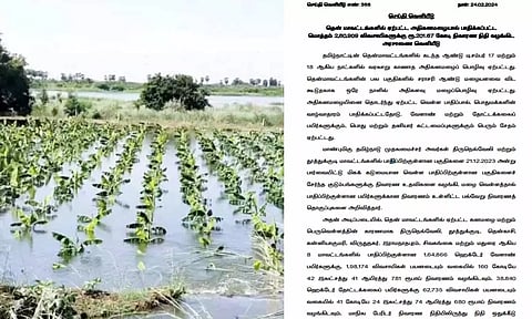 தென் மாவட்ட விவசாயிகளுக்கு ₹201.67 கோடி நிவாரணம்: தமிழ்நாடு அரசு அரசாணை வெளியீடு