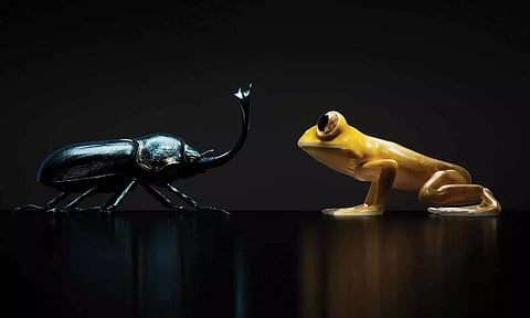 வண்டு-தவளை.. புது டீசர் வெளியிட்ட நத்திங் - எதற்கு தெரியுமா?