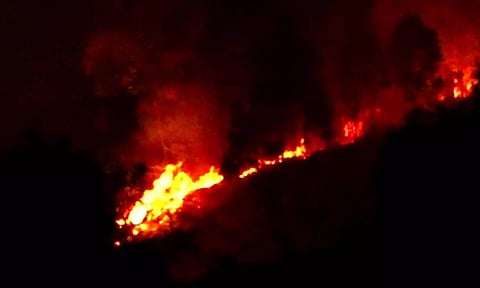 வனப்பகுதியில் பற்றி எரியும் காட்டூத்தீ மரங்கள், கொடிகள் எரிந்து சேதம்