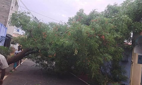 ஈரோடு புறநகர் பகுதியில் வெளுத்து வாங்கிய மழை