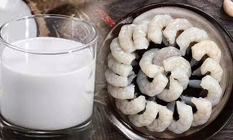 வாங்க செய்யலாம்...இறால் தேங்காய் பால் புலாவ்...