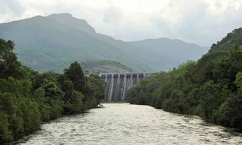 தொடரும் சாரல் மழை: சேர்வலாறு அணை நீர்மட்டம் ஒரு அடி உயர்வு