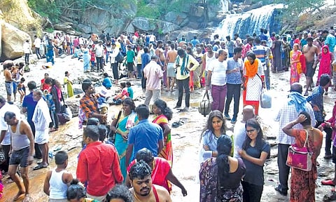 உடுமலை பஞ்சலிங்க அருவியில் சுற்றுலா பயணிகள் உற்சாக குளியல்