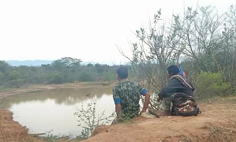 வனப்பகுதியில் குட்டை, நீர்நிலைகளில் தண்ணீர் வரத்து அதிகரிப்பு- யானைகள் வெளியேறுவது குறைந்தது