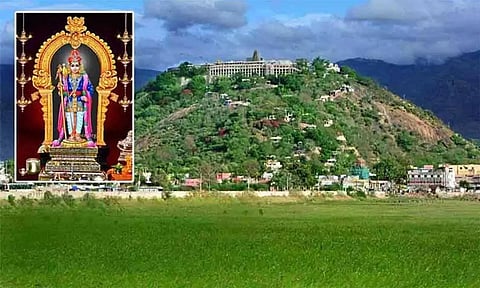 பழனியில் முத்தமிழ் முருகன் மாநாடு- தனி இணையதளம் தொடக்கம்